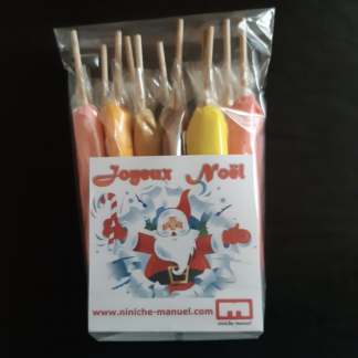 Grand Noël 12 niniches